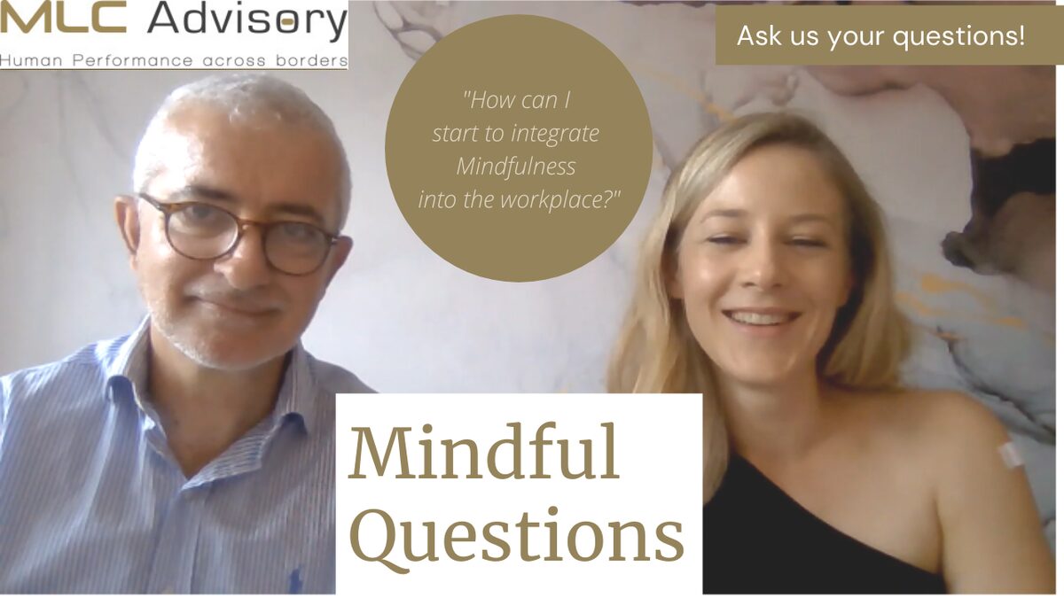 VIDEO - Mindful Questions: “How can we start to integrate Mindfulness at Work?”