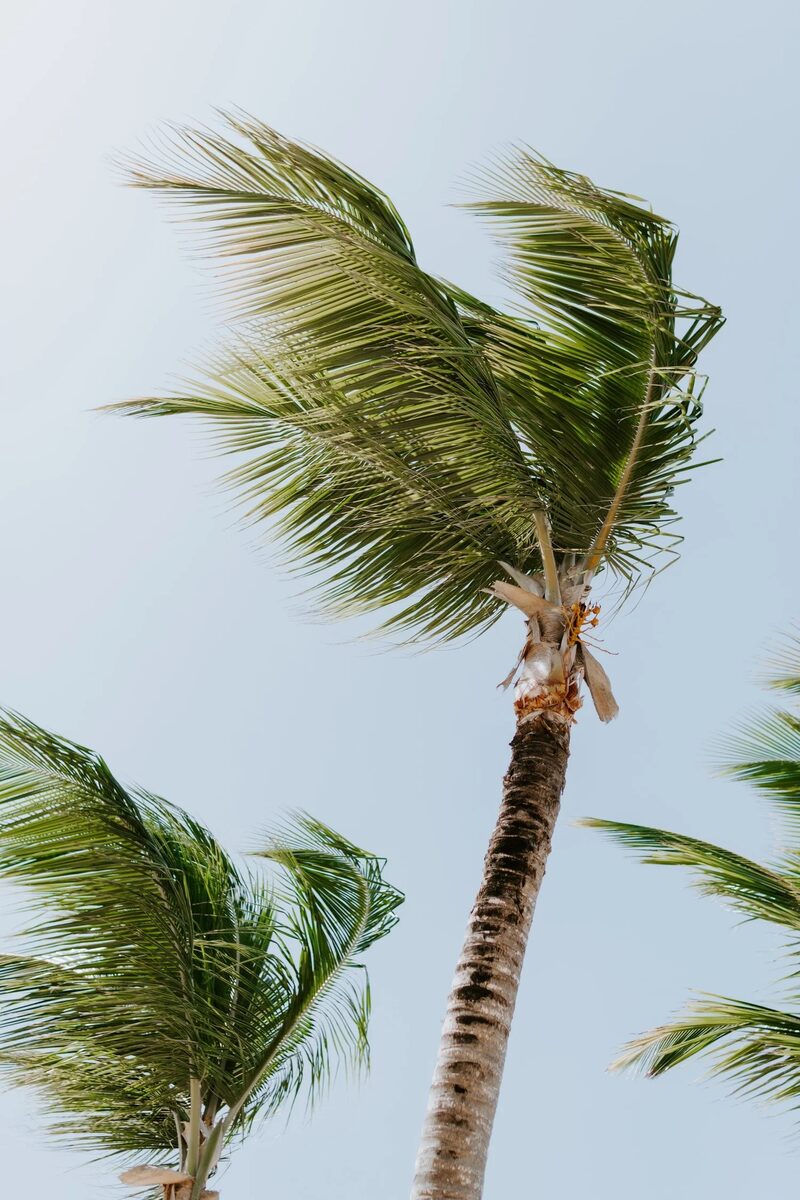 The 7 benefits of resilience training for your organization